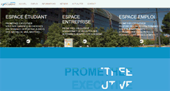 Desktop Screenshot of ecl-executive.com