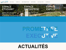 Tablet Screenshot of ecl-executive.com